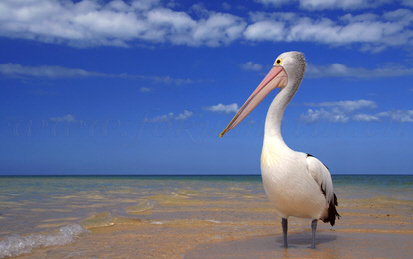 Strandurlaub