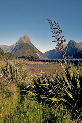 Milford Sound