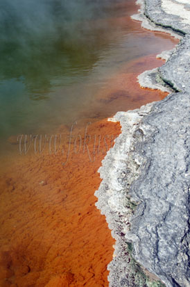 Champagne Pool