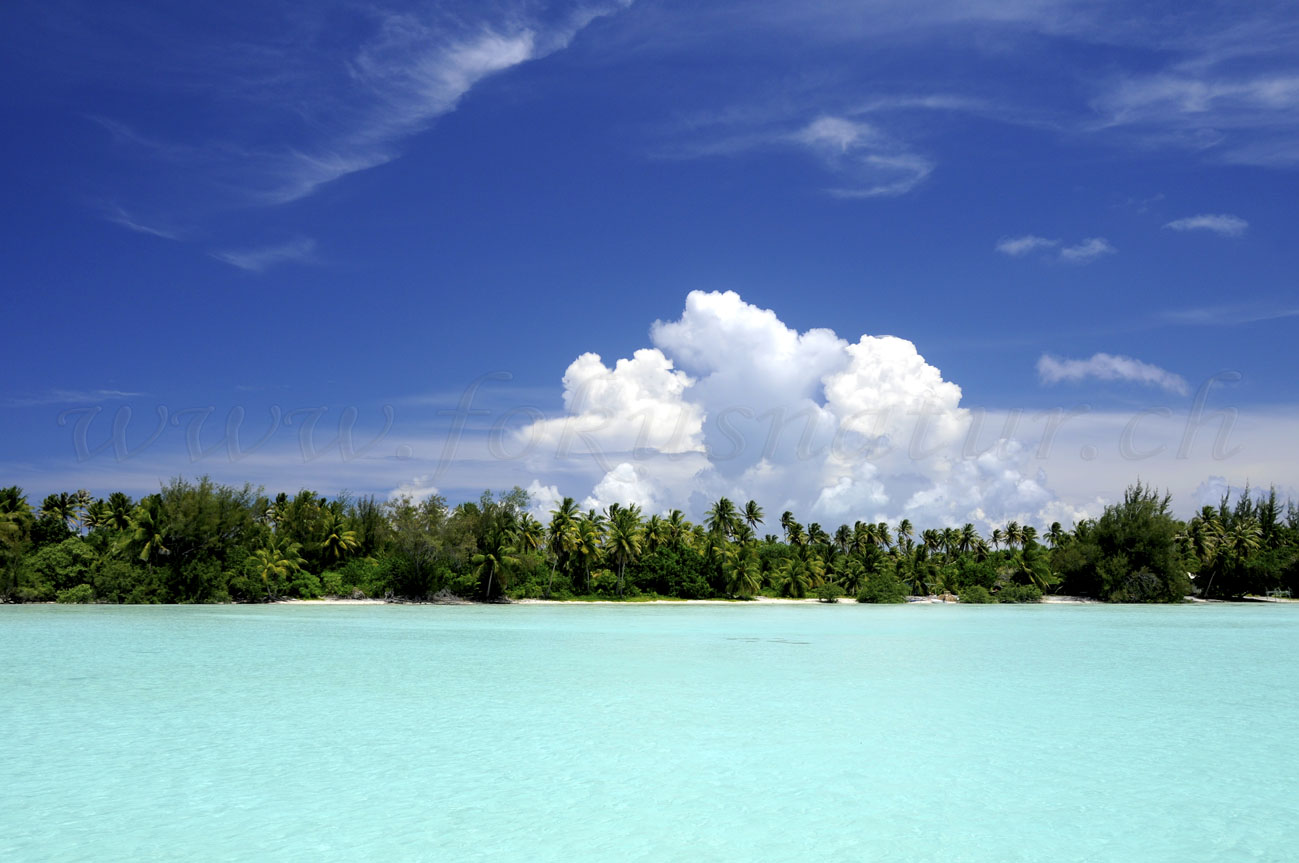 Society Island