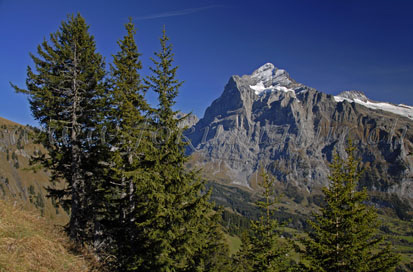 wetterhorn