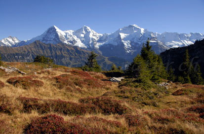 blumenweg, berner oberland