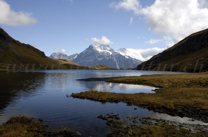 bachalpsee