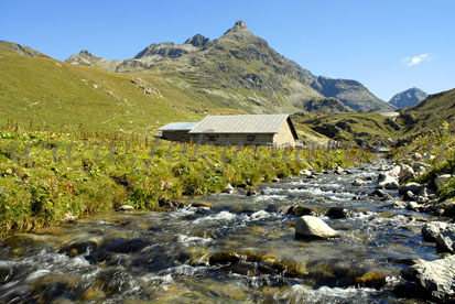 bergbauernhaus