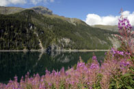 Bergsee