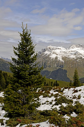 gebirgslandschaft