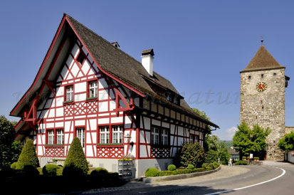 Kaiserstuhl
