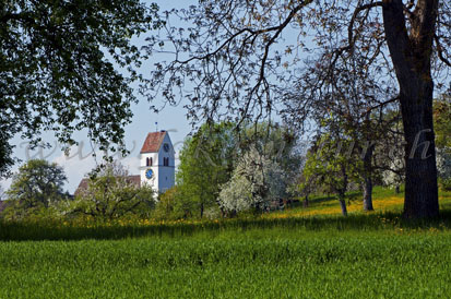 Kirche Steinmaur