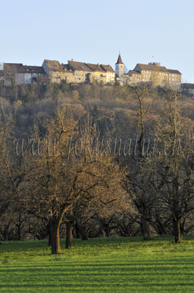 regensberg