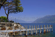Brissago