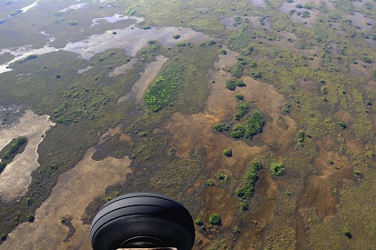 Everglades