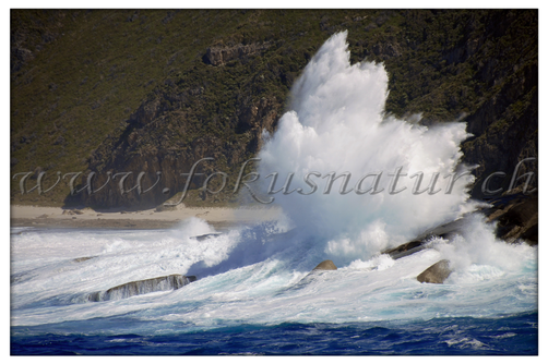 AU 2002.102 - Torndirrup NP