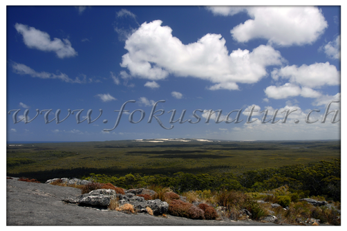 AU 2002.103 - Chudalup