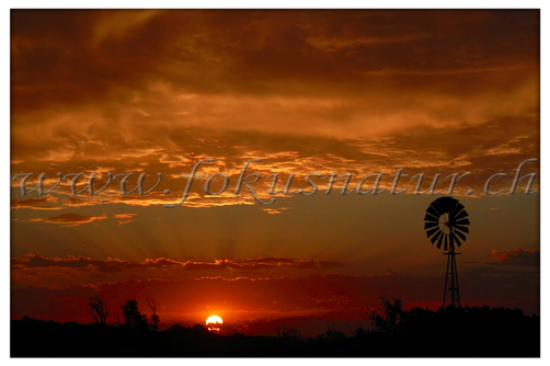 AU 2002.119 - Sunset