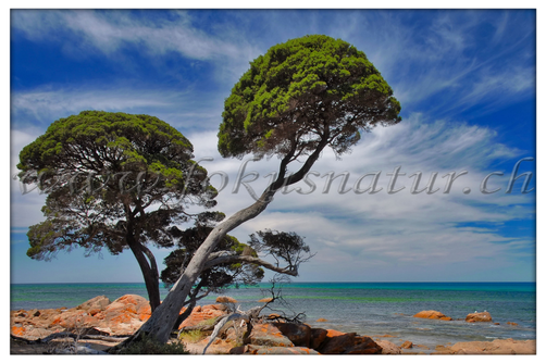 AU 2002.120 - Eagle Bay
