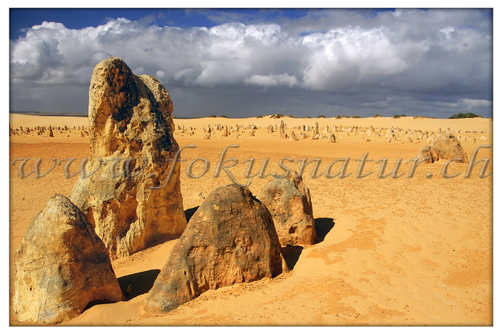 AU 2002.123 - Pinnacles
