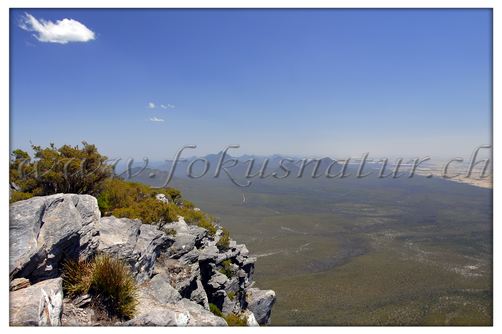 AU 2002.124 - Bluff Knoll
