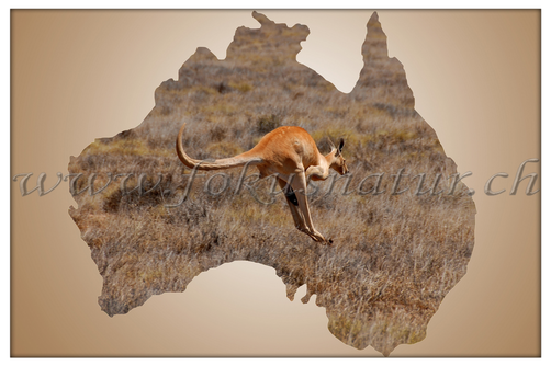 AU 2002.128 - Down Under