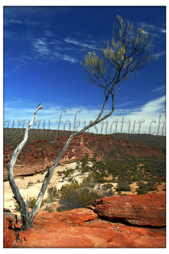 AU 2012.103 - Kalbarri