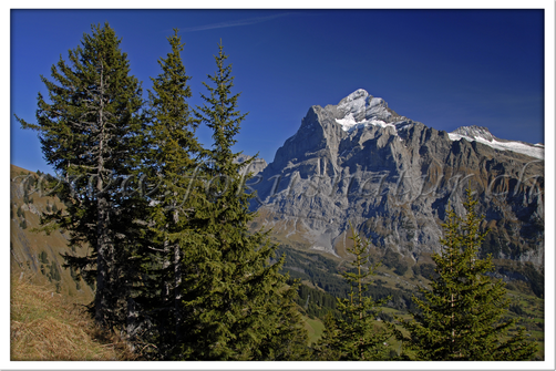 CH 1012.101 - Wetterhorn