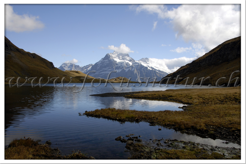 CH 1012.104 - Bachalpsee