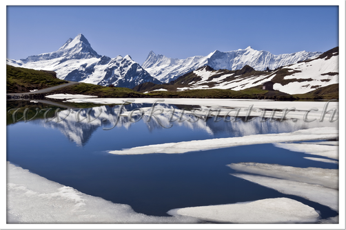 CH 1012.113 - Bachalpsee