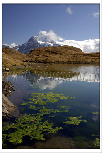 CH 1021.104 - Bachalpsee