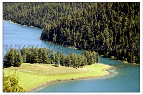 CH 1032.110 - Bergsee