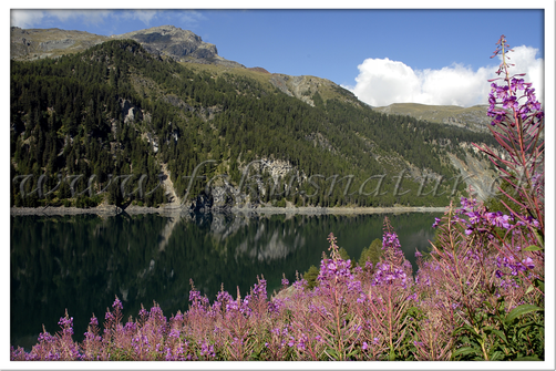 CH 1032.114 - Bergsee