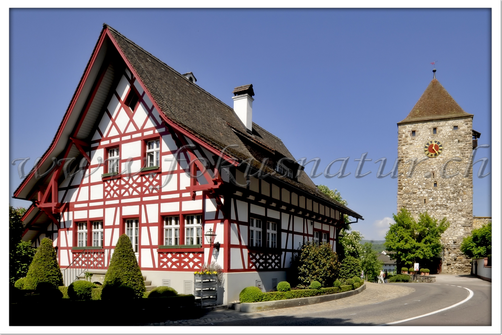 CH 1060.114 - Fachwerkhaus
