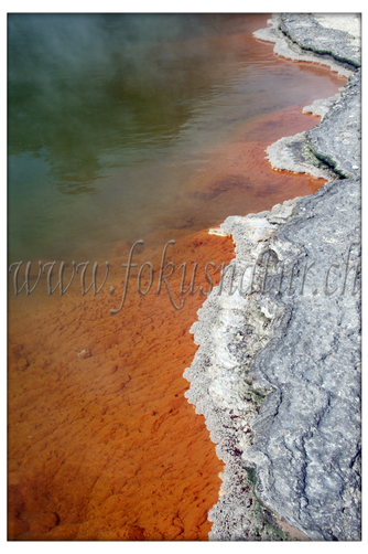 NZ 2530.104 - Champagne Pool