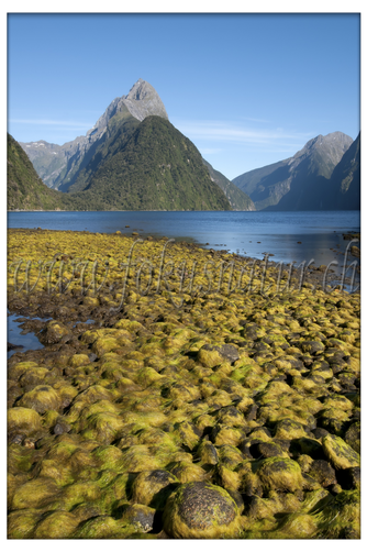 NZ 2530.105 - Milford Sound