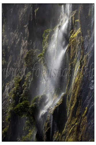 NZ 2530.106 - Wasserfall