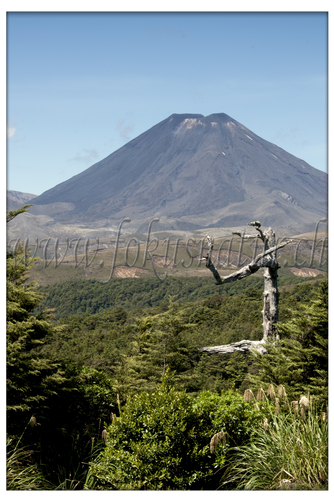 NZ 2530.108 - Ngauruhoe