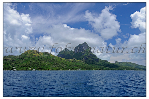 PF 2802.117 - Mt. Otemanu